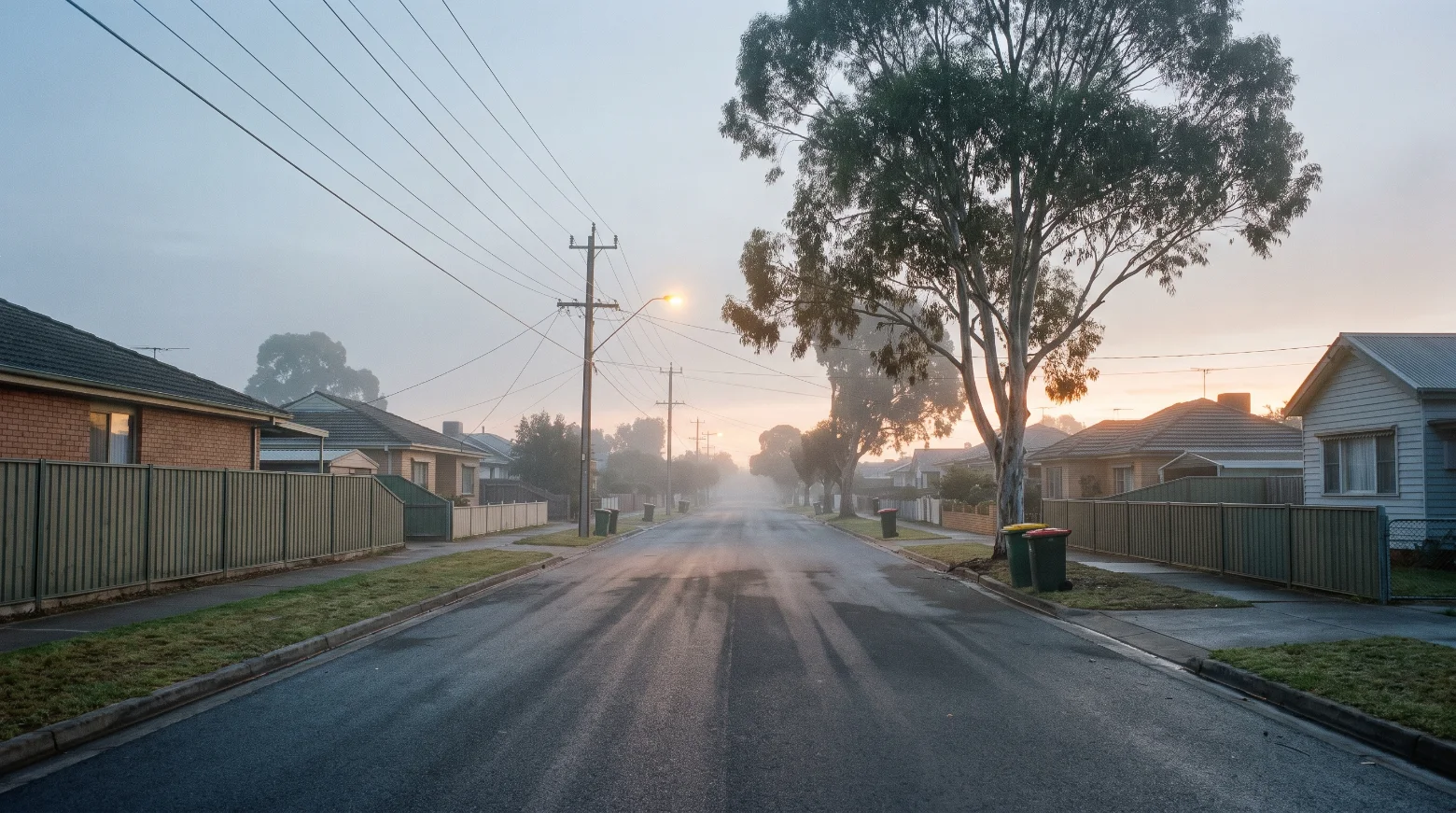 An empty Australian suburban street at first light, mist still hanging, one streetlight on, bins out on the kerb.